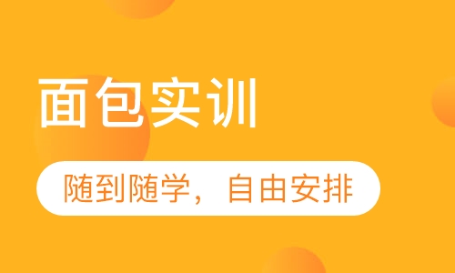 面包实训