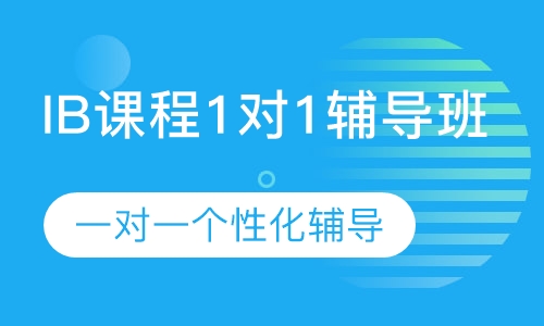 IB课程1对1辅导班