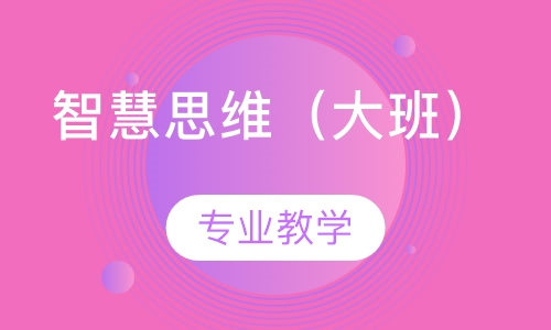 智慧思维（大班）