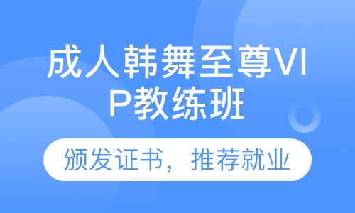 成人韩舞至尊VIP教练班