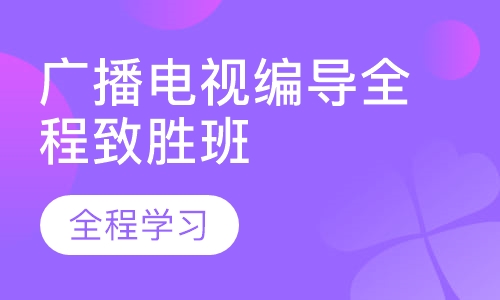 广播电视编导全程致胜班