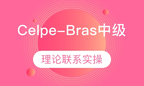 葡萄牙语水平测试Celpe-Bras中级