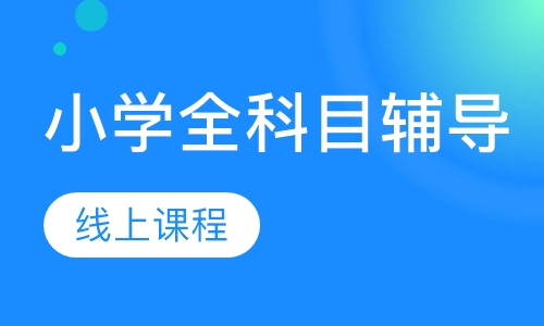 小学全科目辅导线上课程
