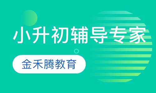 小升初辅导专家