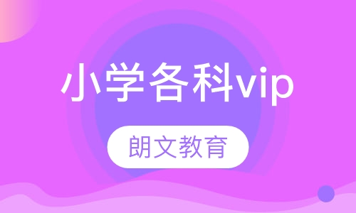 小学各科vip1对1 ，1对2