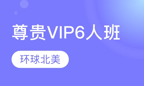 尊贵VIP6人小班
