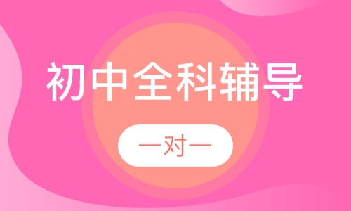 初中一对一全科辅导