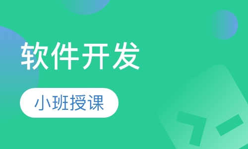 软件开发