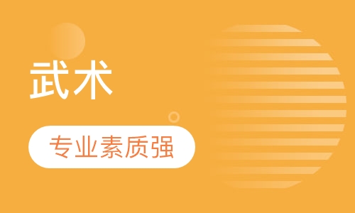 武术