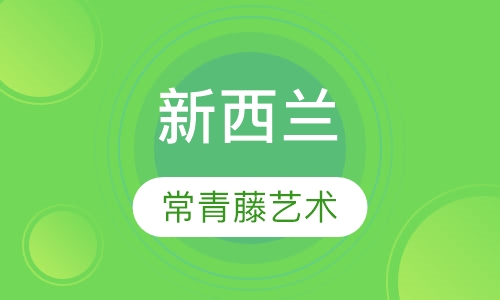 新西兰常青藤艺术精英 PlanA