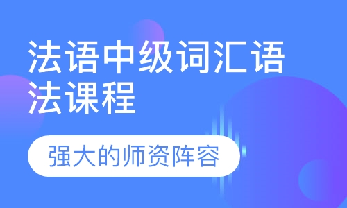 法语中级词汇语法课程