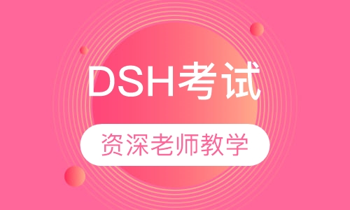 DSH考试
