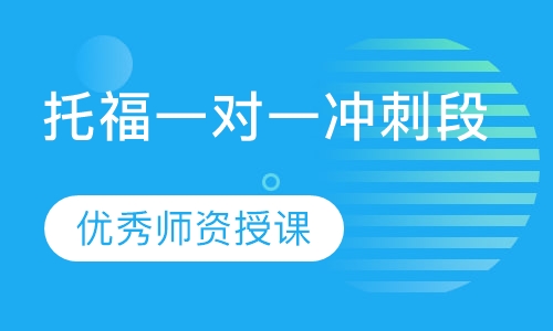 托福一对一冲刺段