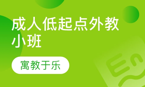 成人低起点外教小班