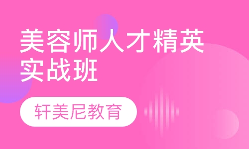 师人才精英实战班