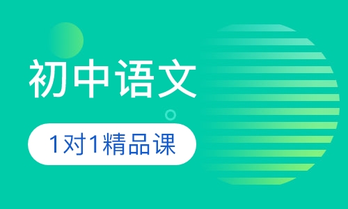 初中语文1对1VIP精品课程