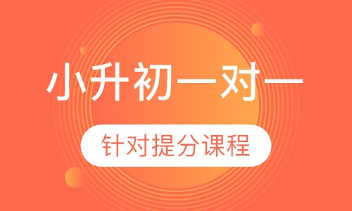 小升初1对1针对提分课程