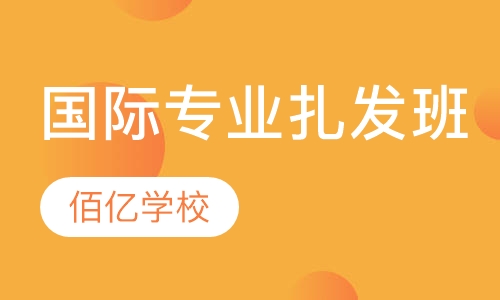 国际专业扎发班