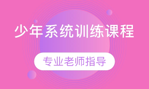 少年系统训练课程
