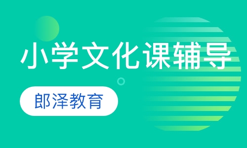 小学文化课辅导