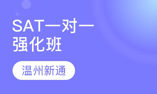 SAT一对一强化精品班