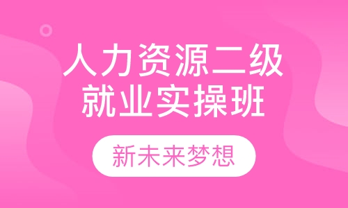 人力资源二级就业实操班