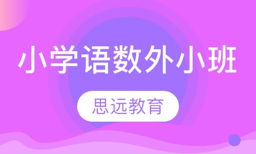 小学语数外小班