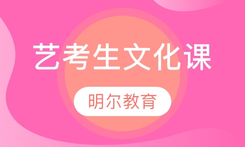 艺考生文化课