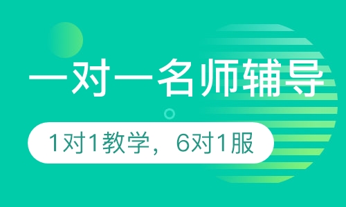 一对一名师辅导