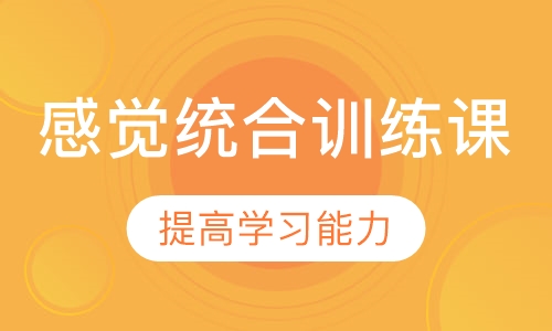 感觉统合训练一对一