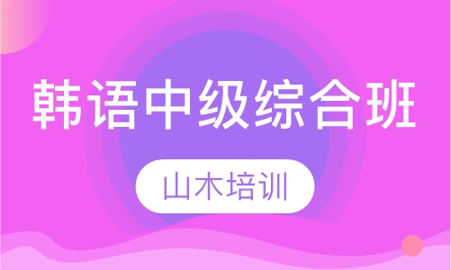 韩语中级综合班