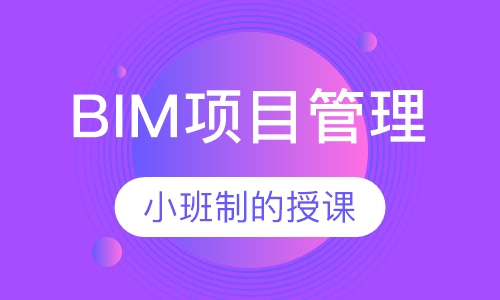 BIM项目管理 （理论取证班）