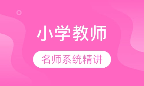 录播课+直播课小学教师资格证协议班