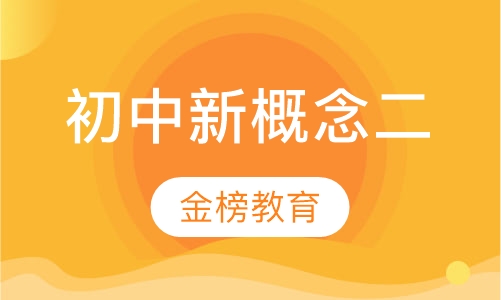 初中新概念二