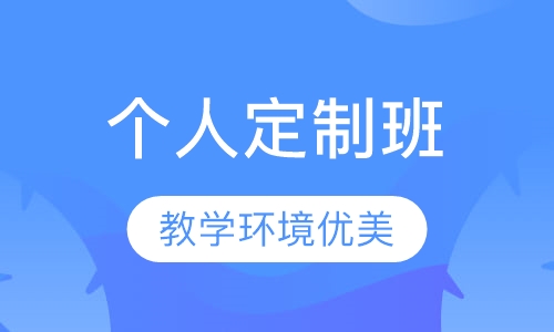 个人专属定制班