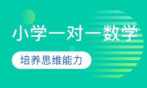 小学一对一数学辅导