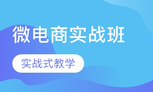 微电商实战班
