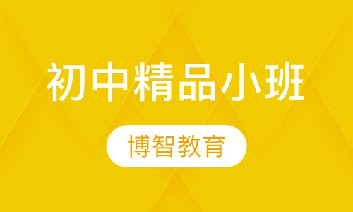 初中精品小班