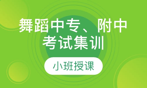舞蹈中专、附中考试集训