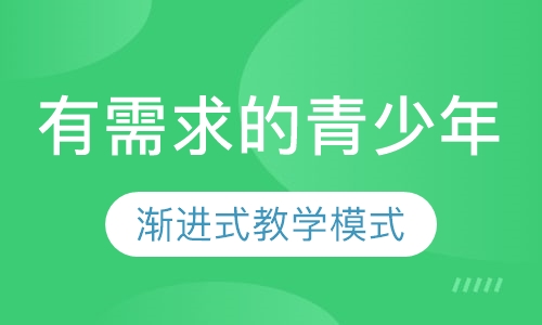 CS91: USACO金.牌等级培训