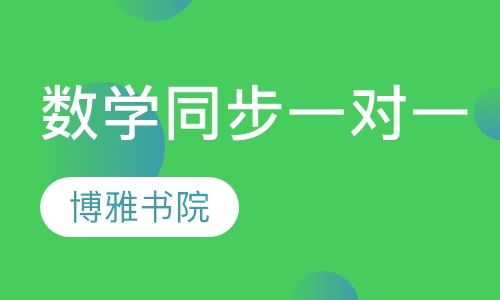 数学同步辅导（一对一）