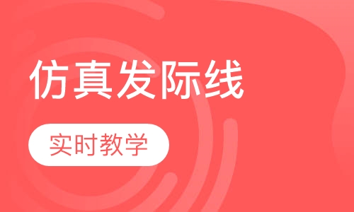 韩式仿真发际线课程