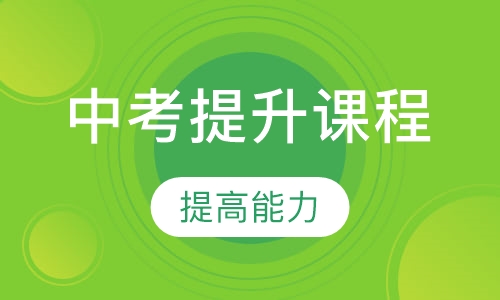 中考专项提升课程