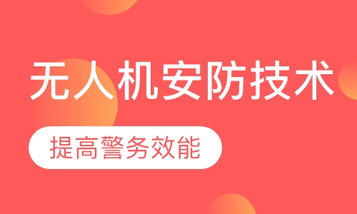 无人机安防技术