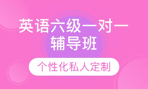 直播课英语六级一对一辅导班