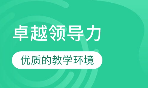 卓越领导力