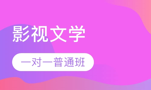 戏曲影视文学一对一普通班