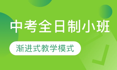 中考全日制小班课