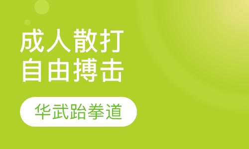 成人散打自由搏击