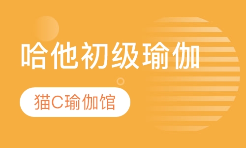 哈他初级瑜伽课程
